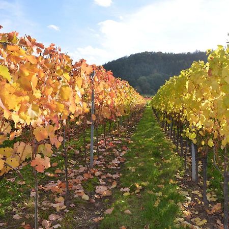 Appartamento Ferienweingut Gansen / Hochgenuss 1 Ernst Esterno foto