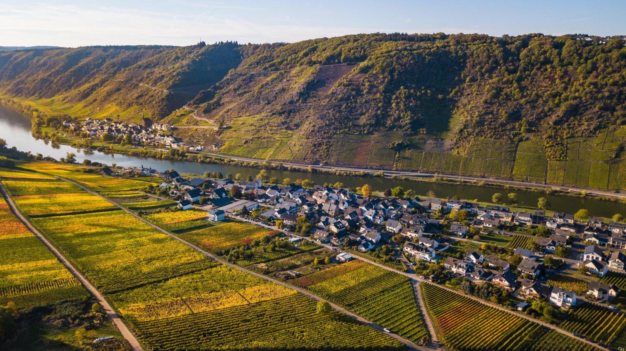 Appartamento Ferienweingut Gansen / Hochgenuss 1 Ernst Esterno foto